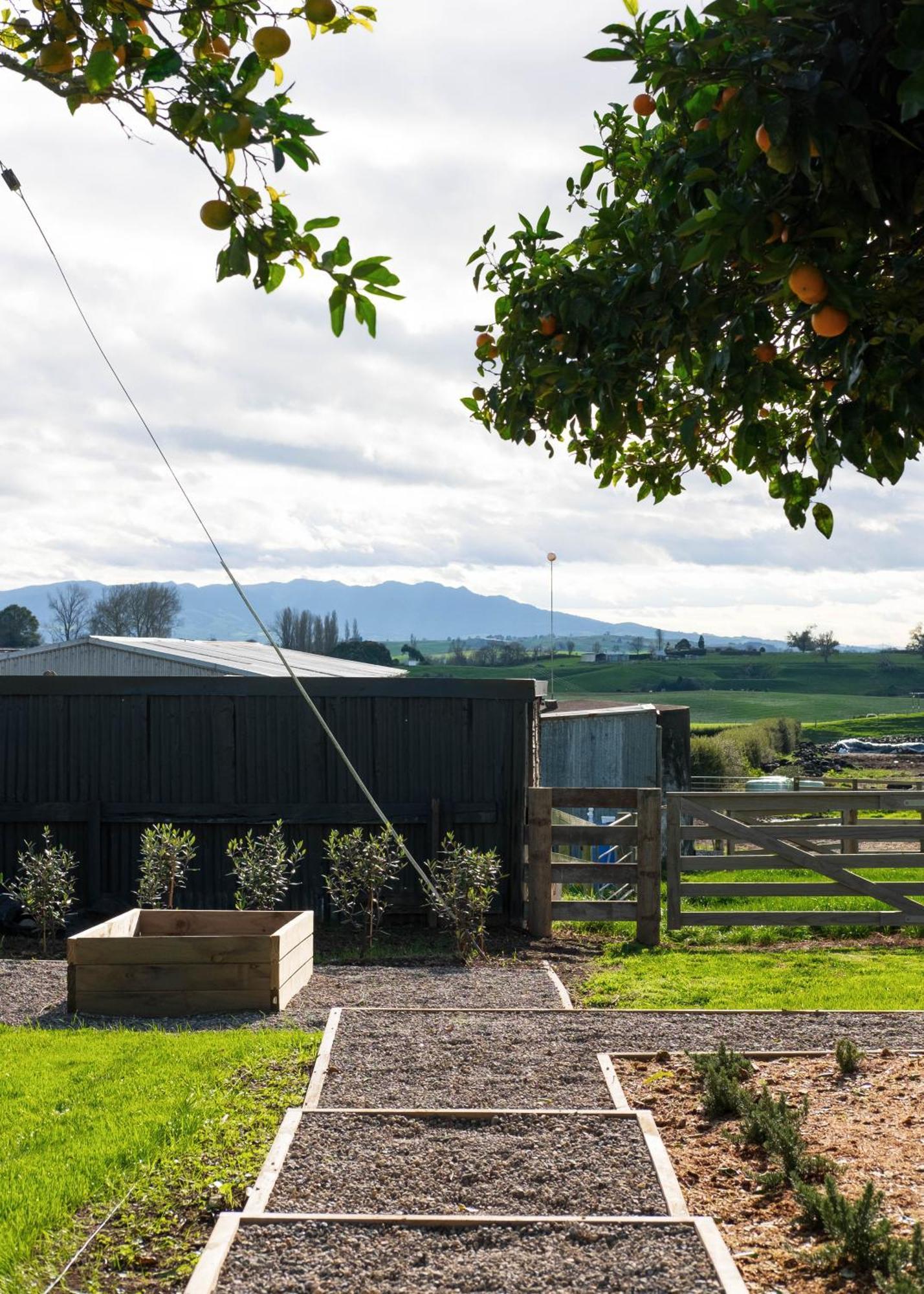 Willow View Cottage - Beautiful Farm Views Close To Waitomo Otorohanga Luaran gambar